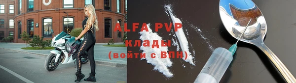 гашик Михайлов