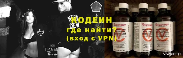 индика Богданович