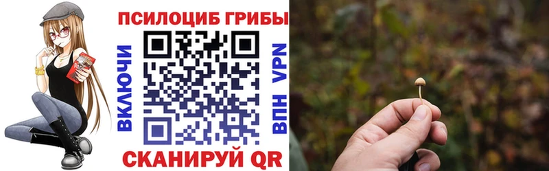 Галлюциногенные грибы мицелий  mega вход  Болохово  купить  